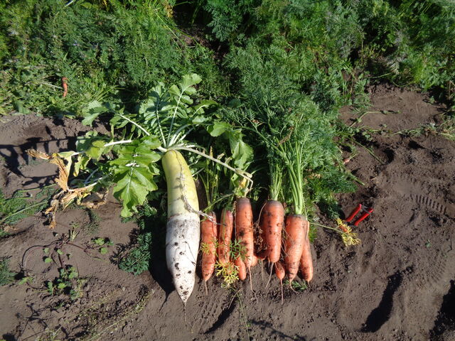 @o卪ƐlQBlQ͂ƂĂÂłB_E_