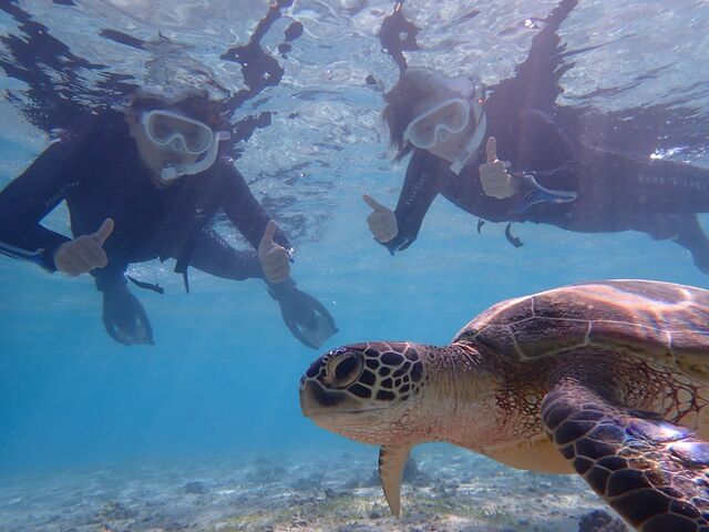 �J���l2�C�ɂ�����܂����B
���p���̂��ߐ��ʂ����o���u�Ԃ��ō��ɂ��킢���B_Reeftour HONEY