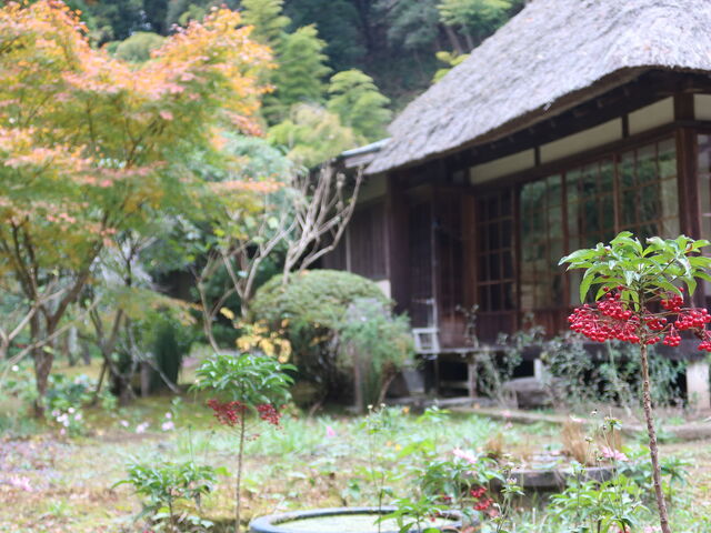 �F�Â��������̌������ɏ��@���ȂށB_���@(��q��)