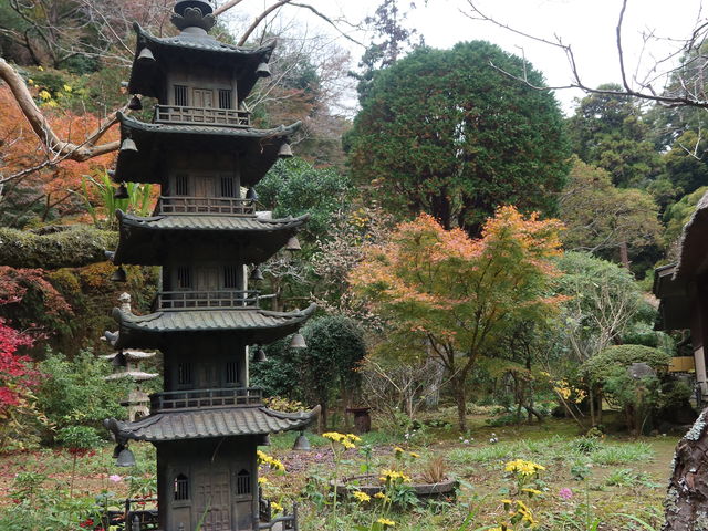 ���@����̒뉀�Ɍ��܏d�����B_���@(��q��)