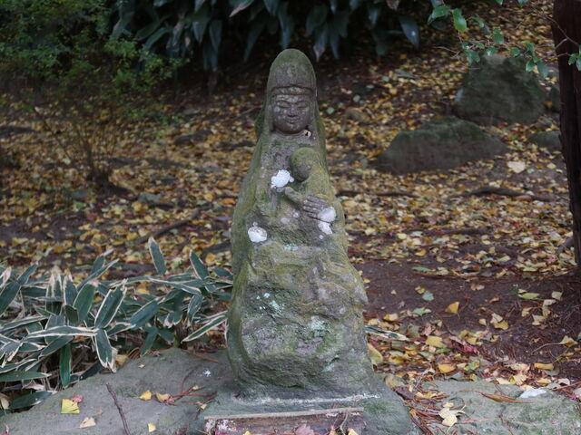 �U���H�e�̃R�E���}�L�̍����Ɉ��u���ꂽ�ω��Α��B�}���A���Ɏ��Ă���Ƃ��B_���@(��q��)