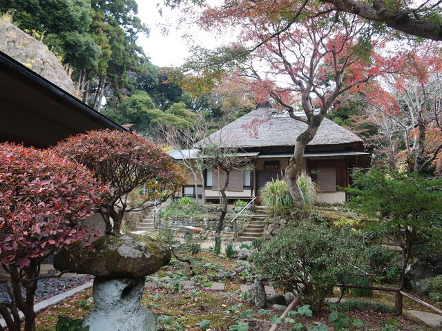 寺院の庭 SLD 4枚 善立寺玄関 文化遺産オンライン