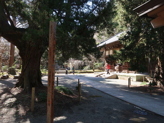 qsVRLO̔ꠁirNVjzɕa]ށB_a (q)