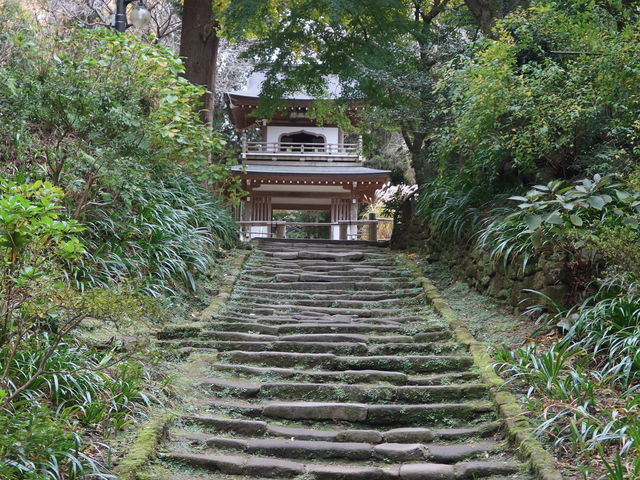 O剓iB̎Qq҂sł낤茸ΒiÙ͋̕CłB_Oiqj