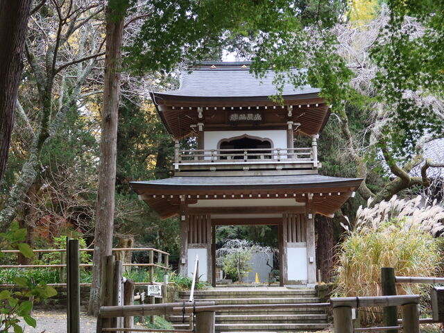 OߌiB2007NČ̂ߖ؂̐F܂XB_Oiqj