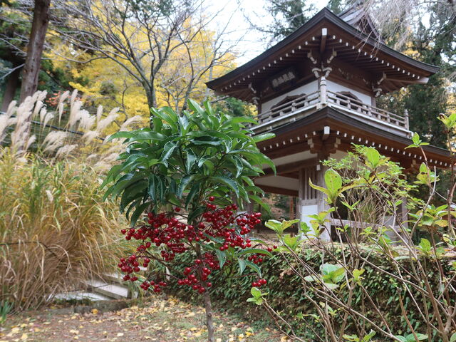 ĤȂ̔ԂƓ~̓閜OʂB_Oiqj