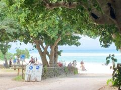 悳̐Ί_h[όւ̓eʐ^1