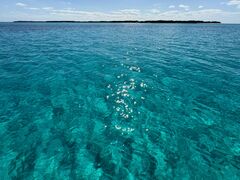 ݂₳̐Ί_cA[KChI[u[ւ̓eʐ^1