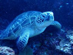 ݂񂳂̃}Nu Gigiւ̓eʐ^1