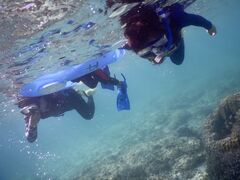 Ђۂ񂳂Azu-Verւ̓eʐ^1