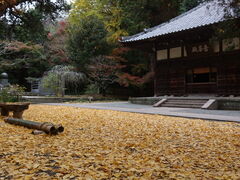 xsd݂̕a (q)ւ̓eʐ^2