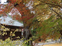 xsd݂̕a (q)ւ̓eʐ^3