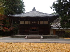 xsd݂̕a (q)ւ̓eʐ^4