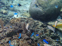 ڂ̃R[gbv@CGX^ւ̓eʐ^1