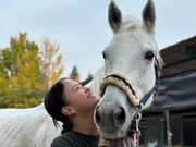 iKĨz[Xt@[@G~I[Lc̓eʐ^1