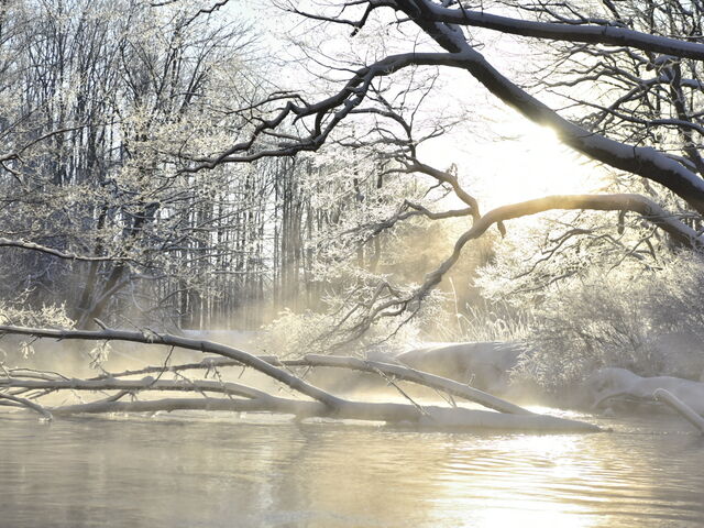 �얶_�Ă�����freetrekkers!