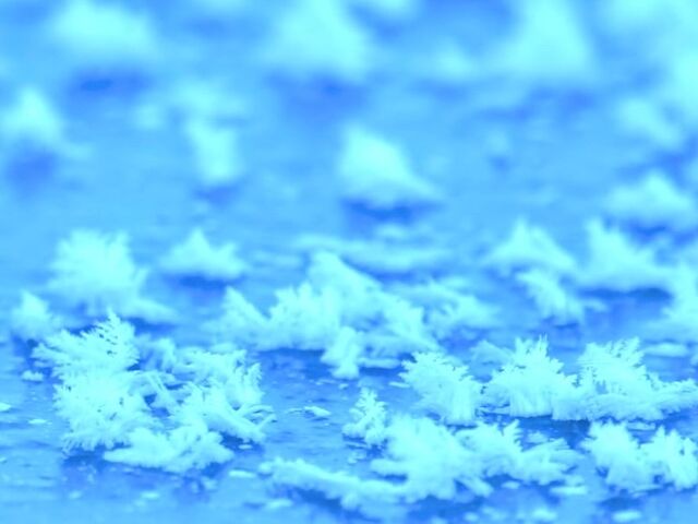 �t���X�g�t�����[_�Ă�����freetrekkers!