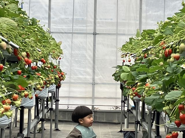 ���Ƃ������@�������񒸂��܂���_�X�g���x���[�G���W�F��