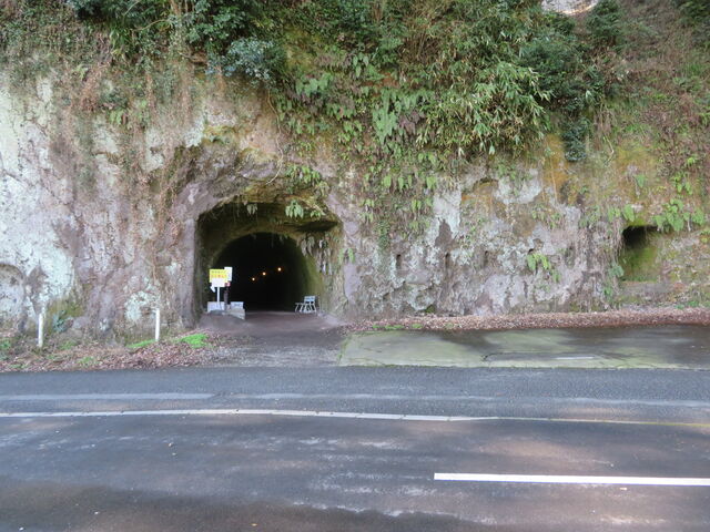 ���������ꓴ�A����_�R�̒��̊C�R�̒��@�ɂ����@�Ђ݂�n�~���[�W�A��