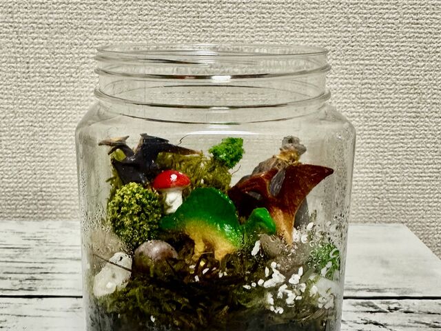 ���q(3��)��_������