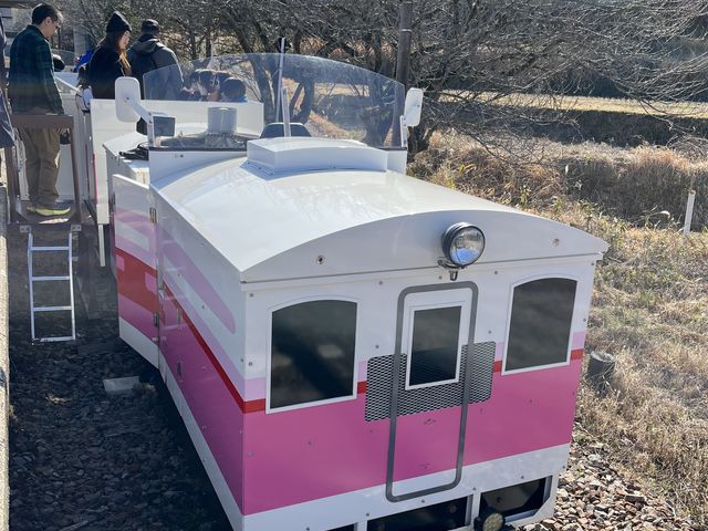 �I���`���̂悤�ȉ��炵���ό���ԁB
�����������Ȃ��ł����J�̓����^�s�����悤�ł�_����䂠�܂Ă炷�S���i�� �����w�\���j