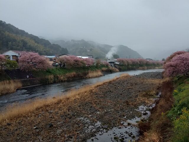 �͒Í��܂�