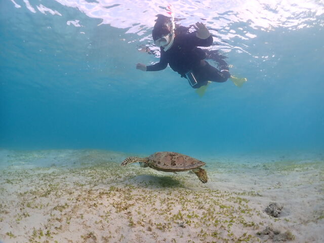 �E�~�K�����ڂƕ@�̐�ɁI_zion miyakojima