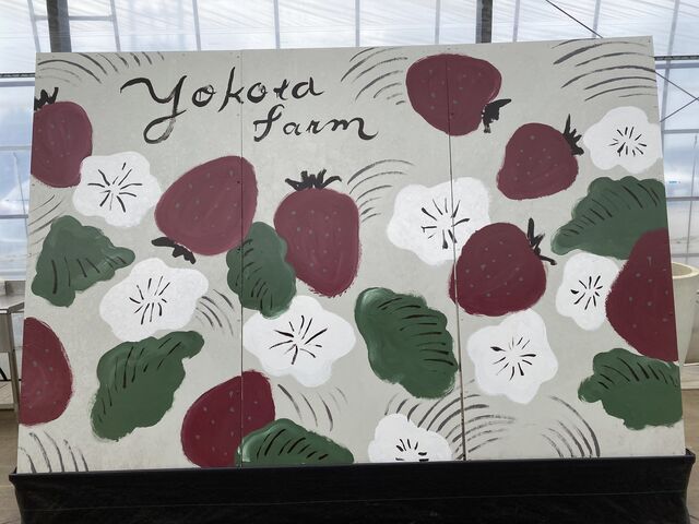 �t�H�g�{�[�h_�K�C���t�@�[��(���c�t�@�[���j