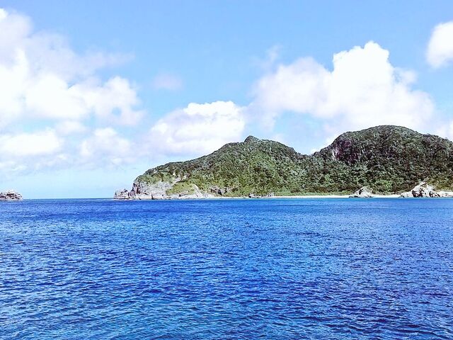 �Y��Ȍc�Ǌԏ����̓��ƊC_�p���_�C�X��y��