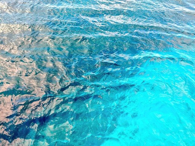 �����ʂ�悤�ȃP���}�u���[���Y��ȊC_�p���_�C�X��y��