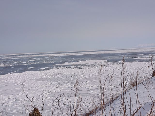 ���̂��摜���������Ă��܂��܂����B_�I�z�[�c�N�C�̗��X