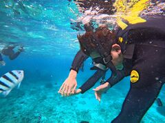 ͂񂳂̃}Nu Gigiւ̓eʐ^1