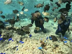 ̐̓AJiT_CrOւ̓eʐ^1