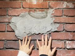 P[W[utsukushimi RXւ̓eʐ^1