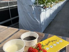 ݂₿񂳂̂܃x[1ւ̓eʐ^1