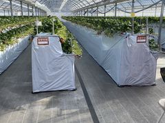 ݂₿񂳂̂܃x[1ւ̓eʐ^2