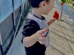 ソ񂳂̂悩񂢂ւ̓eʐ^2