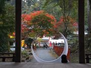 ڂ炳̓gЂ̍gt̓eʐ^2