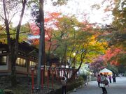 ڂ炳̓gЂ̍gt̓eʐ^3