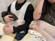�݂�������̃}�C�N���u�^���X ���qPIGPARK�̓��e�ʐ^1