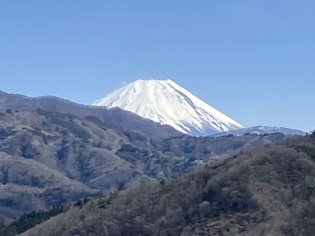 �x�m�R�Y��ł���
�����炵�ō��ł�_�W�b�g�t�@�[��