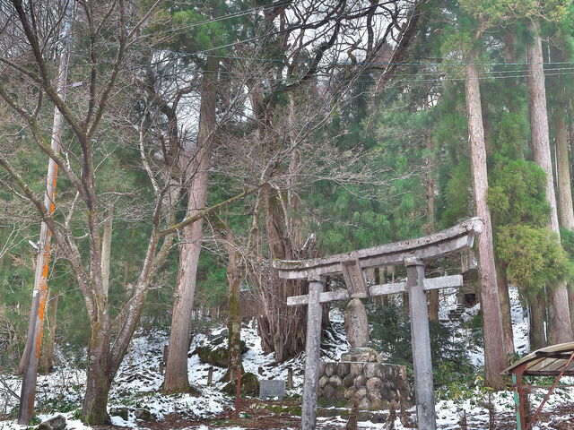 sklfh̔R_Ђ̑Jc̓eʐ^1