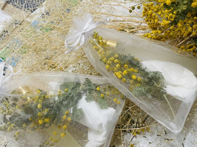 ����������̎B�e�X�|�b�g������܂����B_�A���}�Ǝ��肹�����񋳎�RoomSealiah