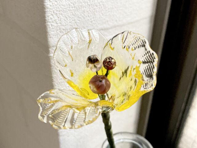 �����J�����`���[���b�v_�r�[�Y�����f�U�C�������� colore labo