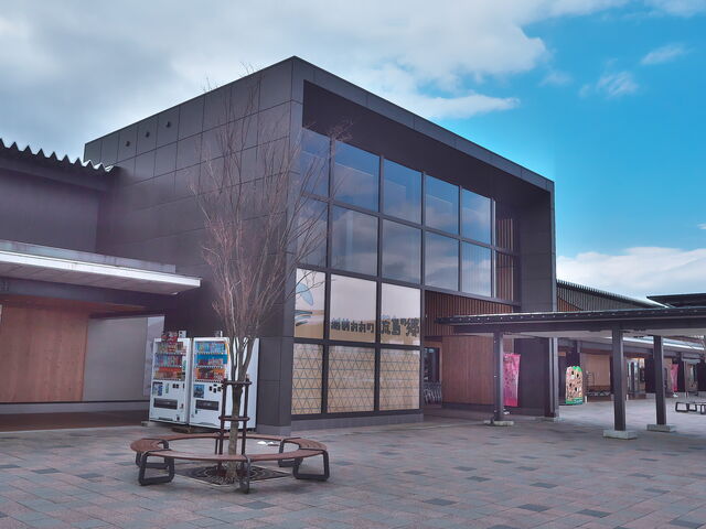 sklfh̓̉w@zÓ@r̋̓eʐ^1