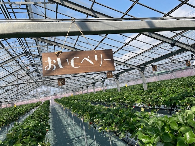 ����C�x���[_farm��������