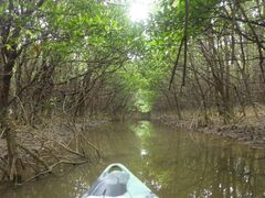 䂫̃GRcA[vJvJւ̓eʐ^1