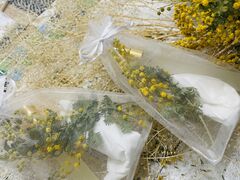 Â邳̃A}Ǝ肹񋳎RoomSealiahւ̓eʐ^1