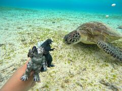 Wj[̋{Ó} SUGAR3ւ̓eʐ^2