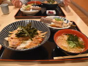 �O���`������̐�P�����̓��e�ʐ^1